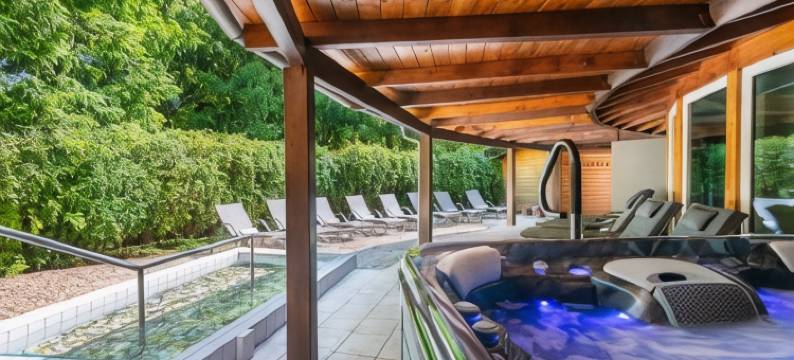 莲花温泉及水疗酒店(Lotus Therme Hotel & Spa)图片