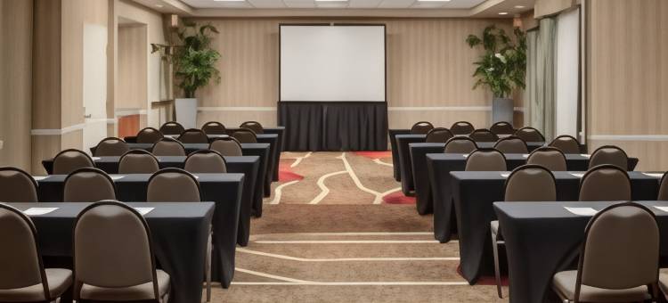 北亚特兰大/阿尔普哈雷塔希尔顿花园酒店(Hilton Garden Inn Atlanta North/Alpharetta)图片