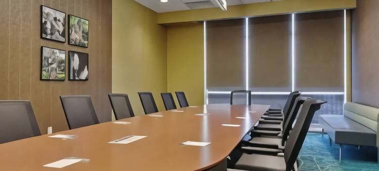 SpringHill Suites Baton Rouge Gonzales图片