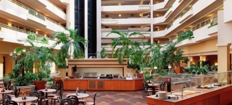 格林斯伯勒机场希尔顿安泊套房酒店(Embassy Suites by Hilton Greensboro Airport)图片