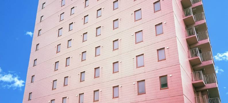 千岁第一酒店(Chitose Daiichi Hotel)图片