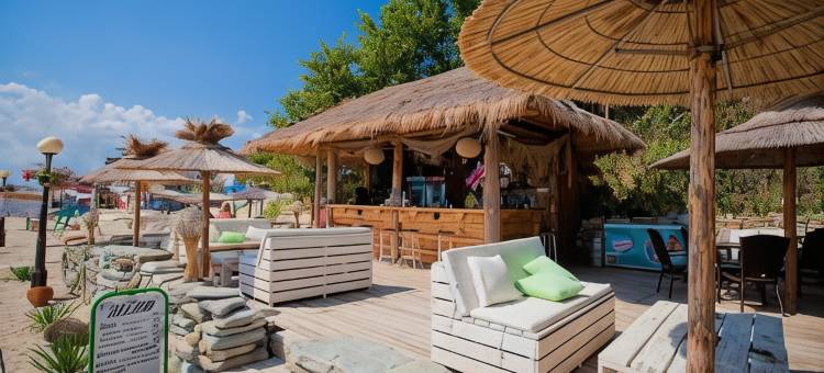 迪尼威滨海宫酒店(Hotel Palace Marina Dinevi)图片