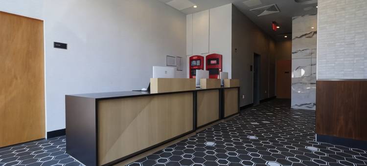 纽约长岛市希尔顿逸林酒店(DoubleTree by Hilton Long Island City New York)图片