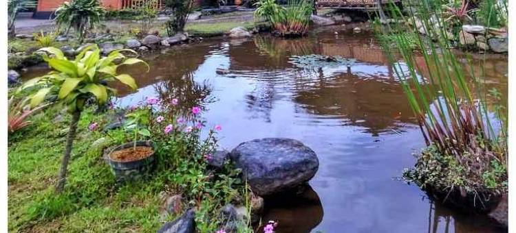 @Niek Homestay图片