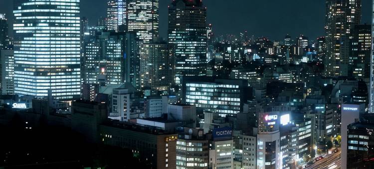 都市中心酒店(Toshi Center Hotel Tokyo)图片