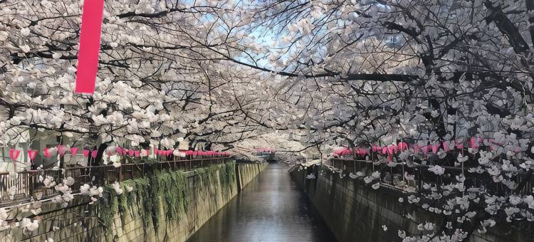 东京目黒青叶台多美迎快捷酒店(多美迎・御宿野乃 酒店集团)(Dormy Inn EXPRESS Meguro-Aobadai Hot Spring)图片