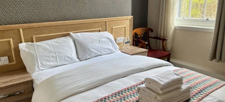 厄尔大卫酒店(Earl David Hotel)图片