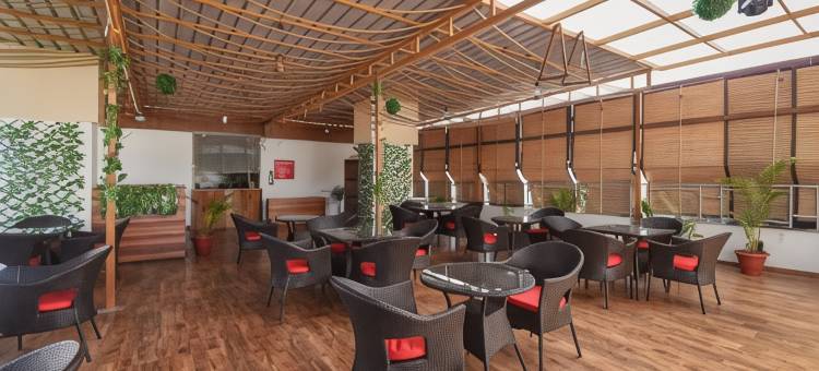 太平洋酒店(Hotel Yours Pacific)图片