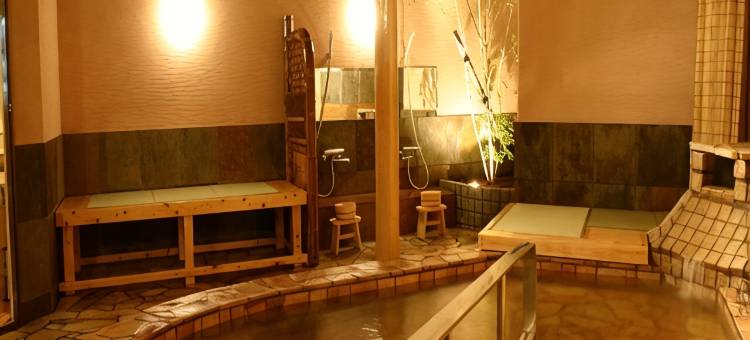 鹤崎酒店(TENNEN ONSEN Tsurusaki Hotel)图片