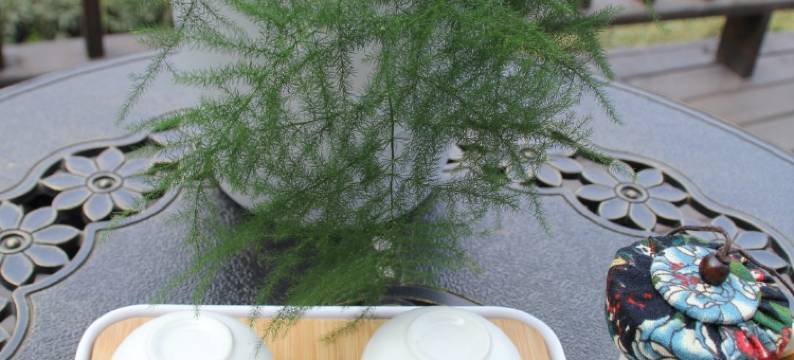 四川合作社发展培训学院图片