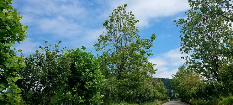 薇云笙海边露营烧烤民宿(青岛崂山风景区店)图片