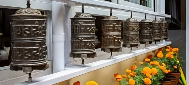 阿雅塔拉加德满都酒店(Aryatara Kathmandu Hotel)图片