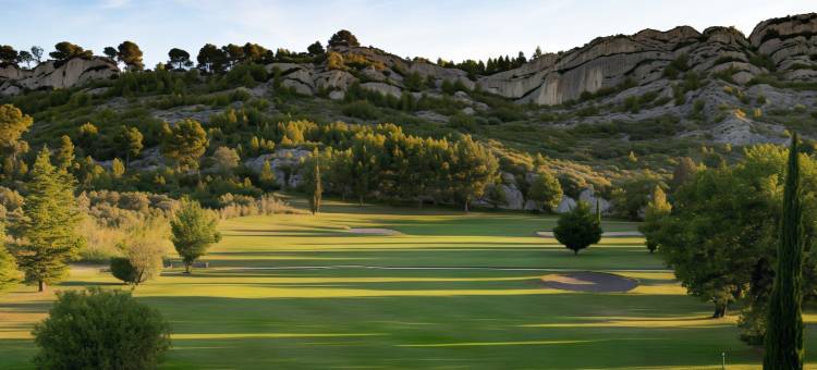 阿尔皮勒城堡酒店(Hôtel Chateau des Alpilles)图片