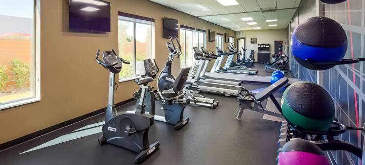 休斯顿 I-45 北 - IAH 舒适套房酒店(Comfort Inn & Suites Houston I-45 North - IAH)图片