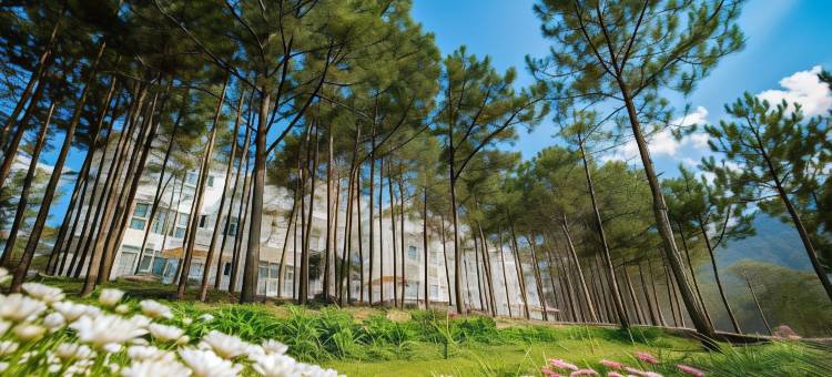 大叻樱桃酒店及度假村(Cereja Hotel & Resort Da Lat)图片