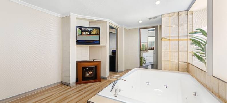 罗斯维尔/底特律地区温德姆戴斯套房酒店(Days Inn & Suites by Wyndham Roseville/Detroit Area)图片