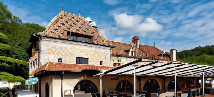 拉根迪霍梅尔酒店(Hôtel la Gentilhommière)图片