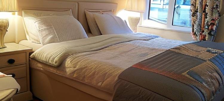 维伊民宿(The Vee Guest Accommodation)图片