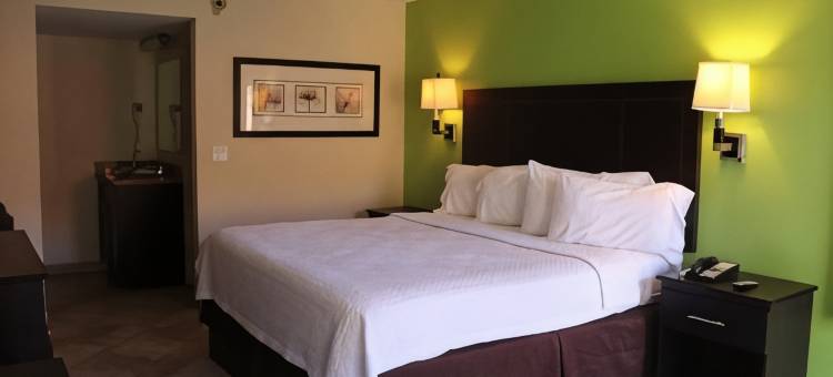 柯蒂斯酒店及套房(Curtis Inn & Suites)图片