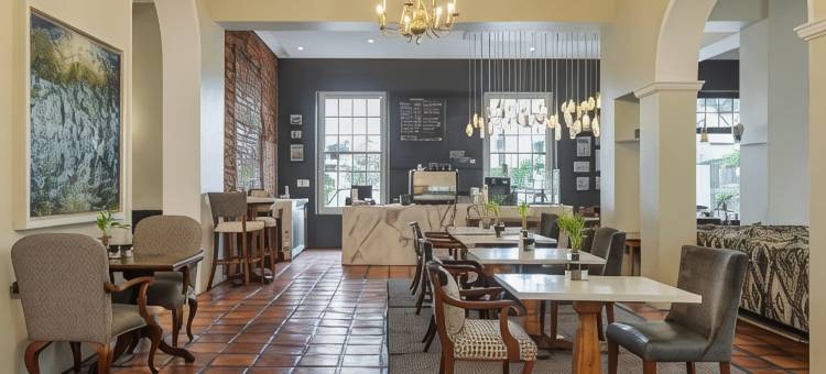 葡萄园酒店(Vineyard Hotel)图片