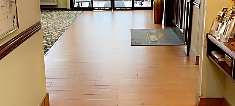 巴特里克-I-94呗盟套房酒店(Baymont by Wyndham Battle Creek/I-94)图片