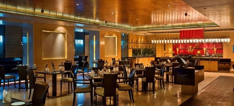 康诺特广场丽笙酒店(Radisson Blu Marina Hotel Connaught Place)图片