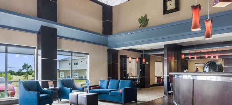 矿泉井城康福特套房酒店(Motel 6 Mineral Wells, TX)图片