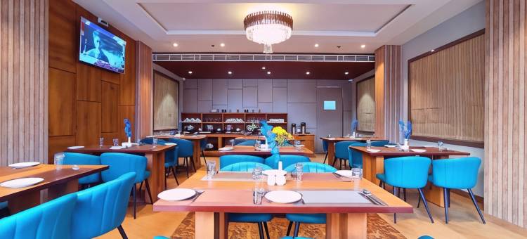 施瑞格纳特德瓦拉酒店(ShriGo Hotel Nathdwara)图片