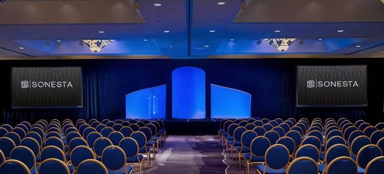 亚特兰大格威内特广场圣淘沙酒店(Sonesta Hotel Gwinnett Place Atlanta)图片