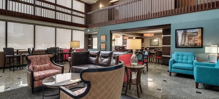 休斯顿加勒里亚德鲁里套房酒店(Drury Inn & Suites Houston Galleria)图片