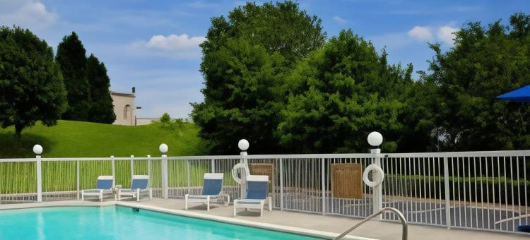 夏洛特派恩维尔福朋喜来登酒店(Four Points by Sheraton Charlotte - Pineville)图片