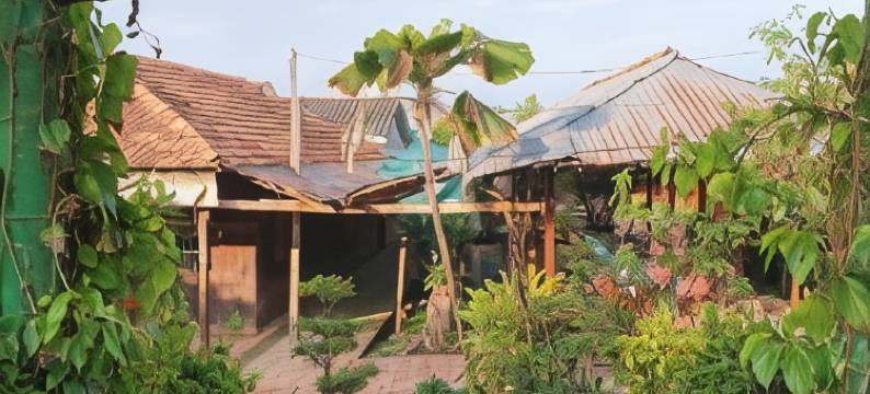 巴林民宿(Ba Linh Homestay)图片