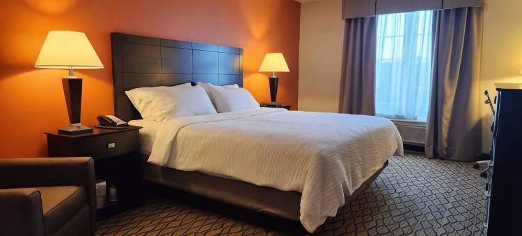 智选假日套房酒店凯迪拉克(Holiday Inn Express & Suites CADILLAC by IHG)图片