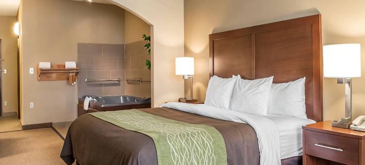 舒适酒店-爱丁堡南(Comfort Inn Edinburg South)图片