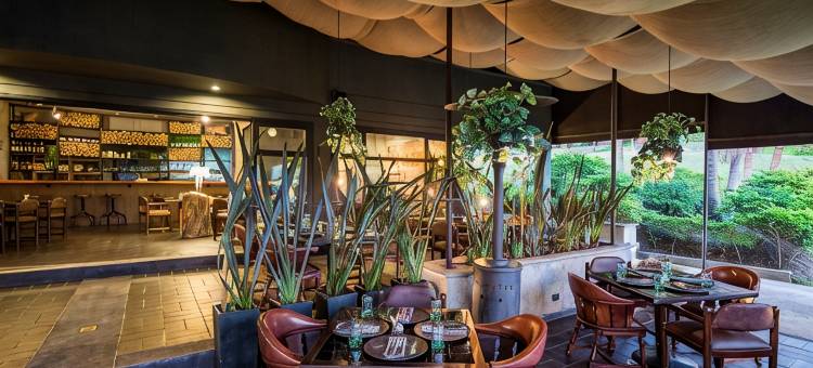 拉斯洛马斯莫维奇酒店(Movich Hotel Las Lomas)图片