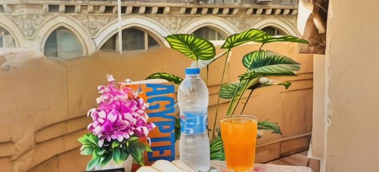 New Park Plaza Cairo图片