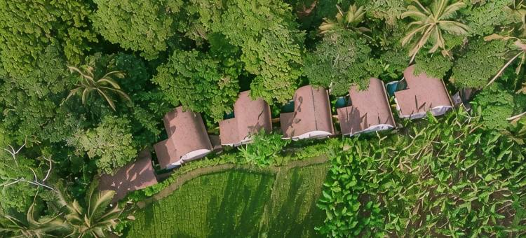 由Pramana别墅管理的乌布圣谷(Sacred Canyon Ubud by GenuineHost)图片