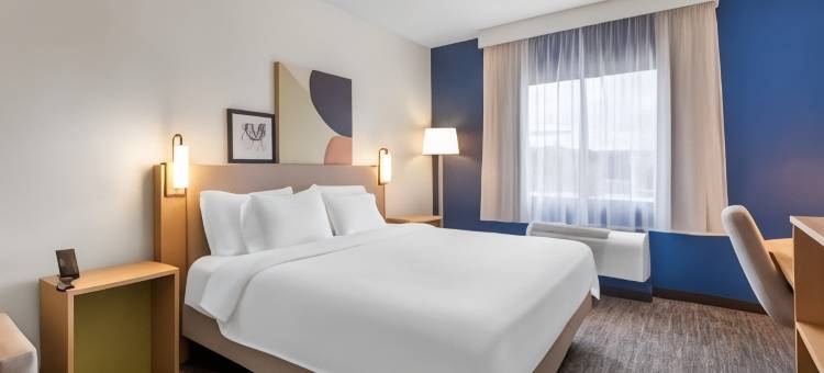 Spark休斯敦加勒里亚购物中心酒店by Hilton(Spark by Hilton Houston Near the Galleria)图片