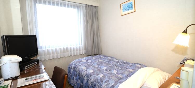 田原城市经济型酒店(Tahara City Hotel)图片