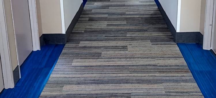 智选假日套房酒店金斯顿(Holiday Inn Express & Suites KINSTON by IHG)图片