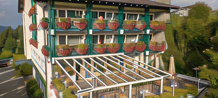 恩格尔酒店(Hotel Engel Alberschwende)图片
