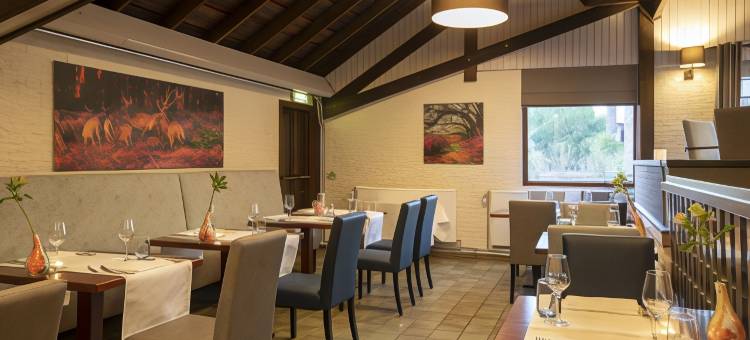 克莱恩瑞士弗莱彻餐厅酒店(Fletcher Hotel-Restaurant Klein Zwitserland)图片