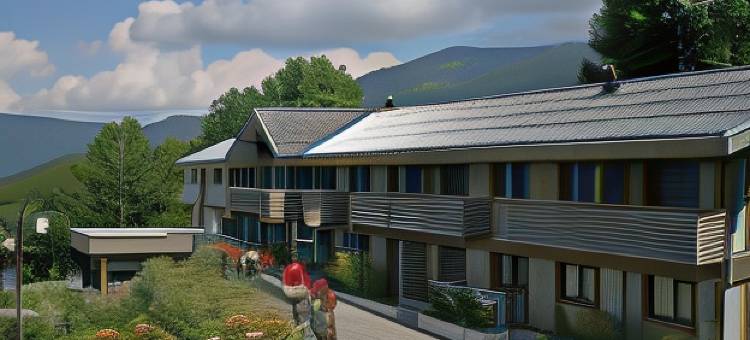 萨沃伊拉克罗伊克斯水疗酒店(La Croix de Savoie & Spa)图片