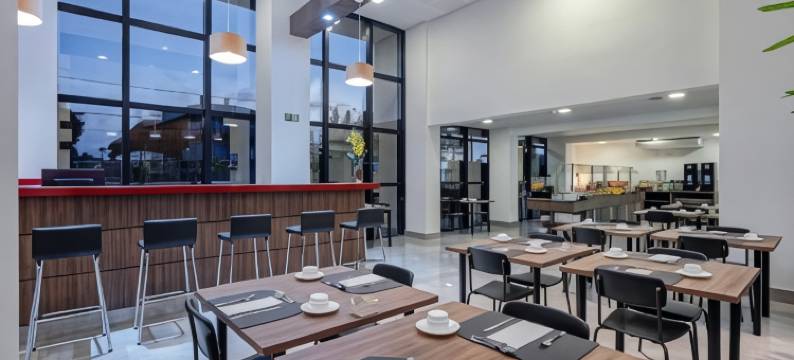 斯利姆瓜拉普阿瓦酒店(Slim Guarapuava)图片