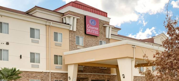 舒适套房酒店(Comfort Suites)图片