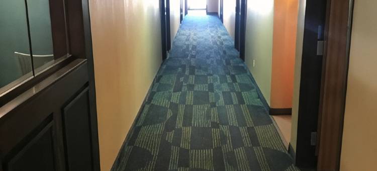 费耶特维尔温德姆速8酒店(Super 8 by Wyndham Fayetteville)图片