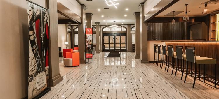 威廉斯堡布希花园区温德姆花园酒店(Wyndham Garden Williamsburg Busch Gardens Area)图片