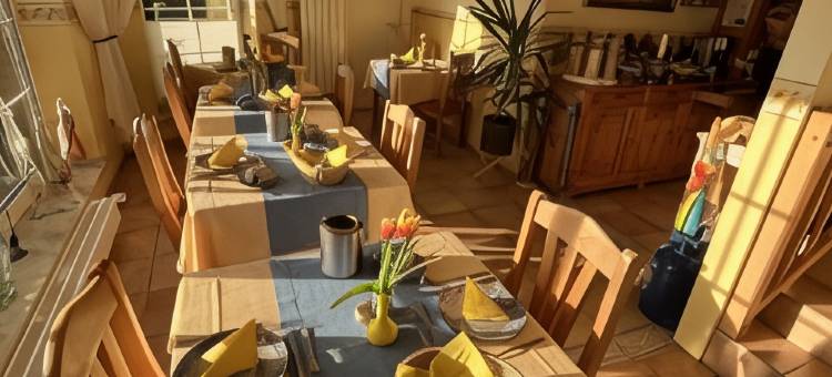 达姆纳茨的Sonnenhof -旅馆-(Sonnenhof Damnatz -Hotel Garni-)图片
