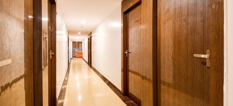 Super Collection O Flavour图片