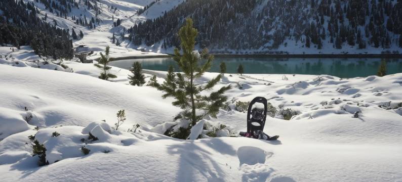 枫娜珂欧公寓酒店(Apartment Fernerkogel)图片